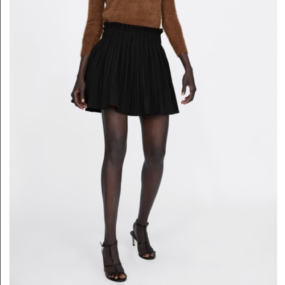 Zara Skirt